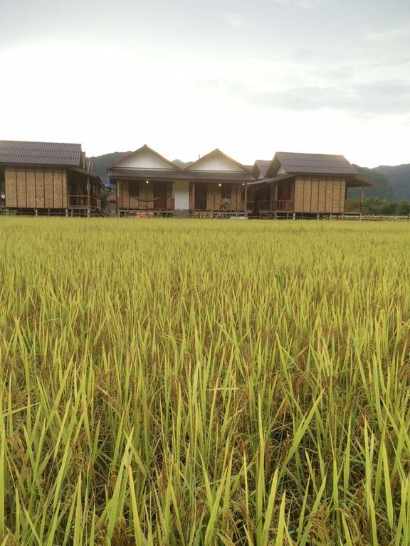 Thongdam Guesthouse Ban O Eksteriør billede